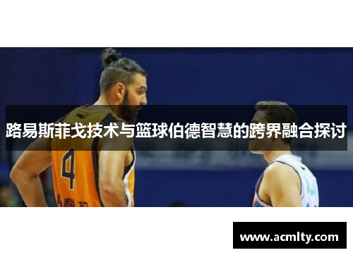 路易斯菲戈技术与篮球伯德智慧的跨界融合探讨